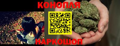 прущие крисы Чебоксары
