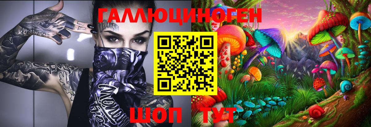 Галлюциногенные грибы Psilocybine cubensis Урус-Мартан