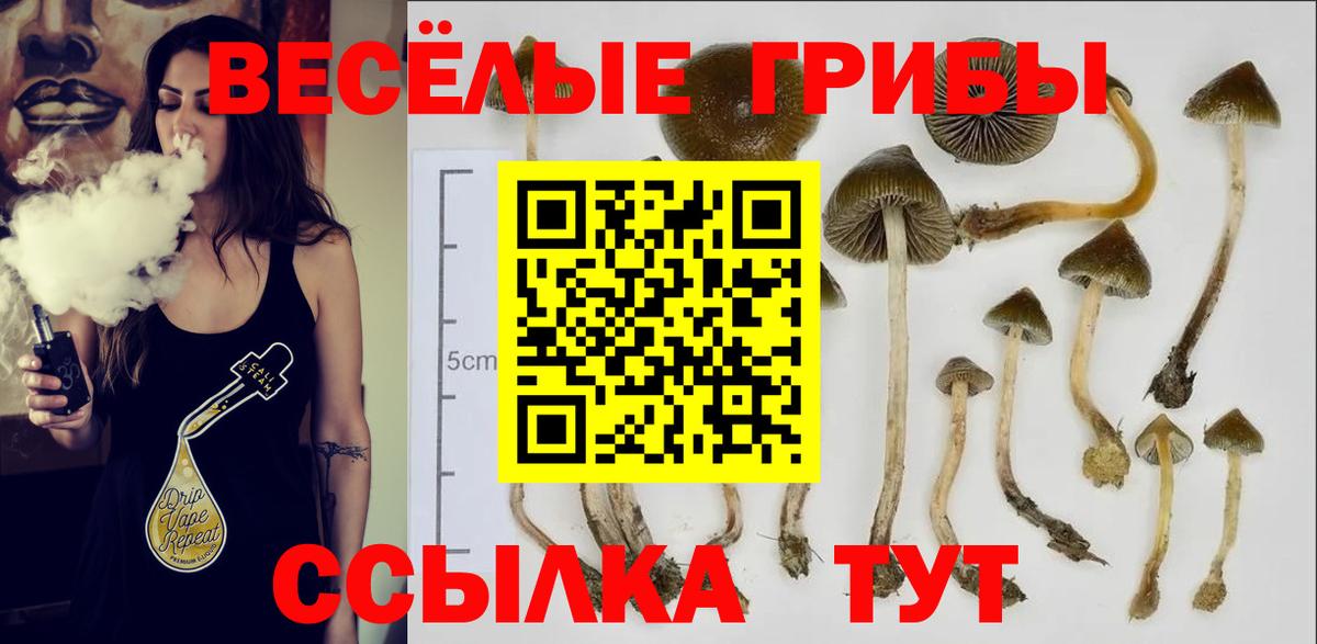 где купить наркотик  Галлюциногенные грибы мицелий  Вход с VPN  Урус-Мартан 