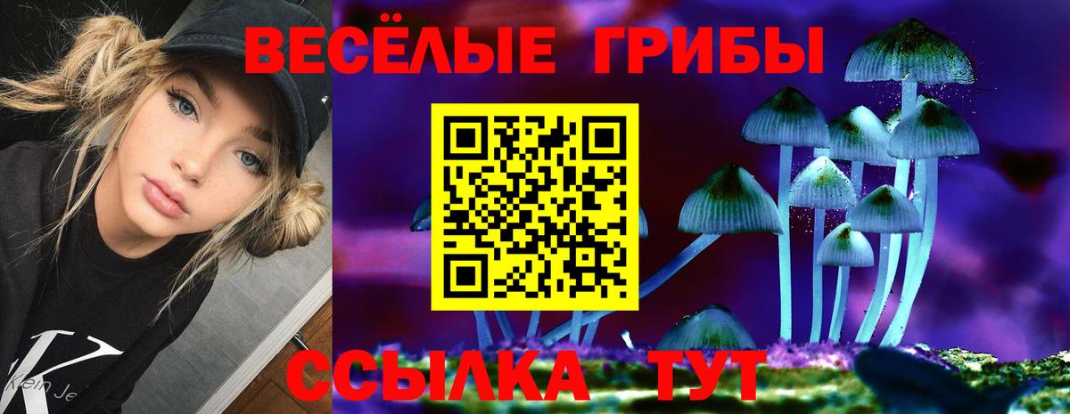 Каннабис  ГАШ  Cocaine  Урус-Мартан  Вход с VPN  Меф кристаллы 